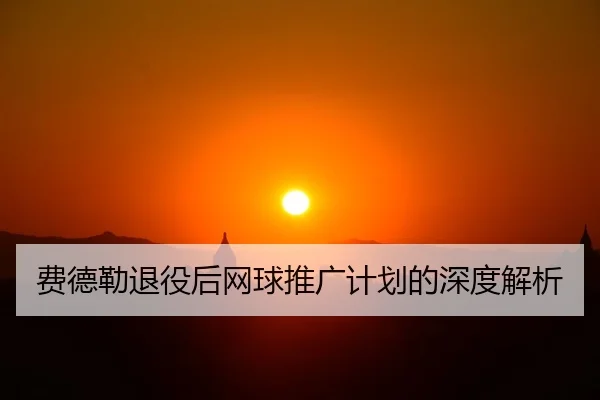 费德勒退役后网球推广计划的深度解析